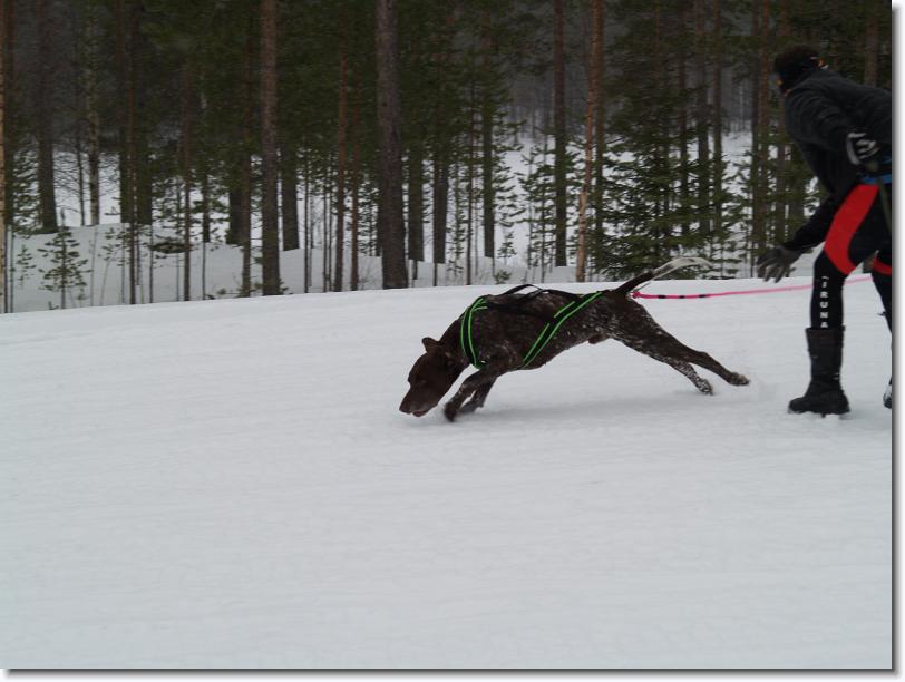 Nästa bild